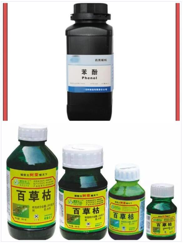 <a href='http://www.cypruslonglets.com' title='國際貨運代理' >國際貨運代理</a>